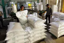 Vietnam’s rice exports remain stable despite import pauses by Philippines, Indonesia