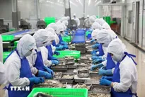 Vietnam’s seafood sector capitalises on FTAs