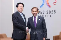 Vietnamese, Bruneian leaders pledge to promote practical development of bilateral ties