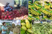Vietnam’s fruit, vegetable exports exceed 7 billion USD in 10 months