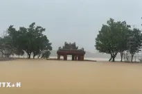 Vietnamese community in UK raises over 11,800 USD for flood victims