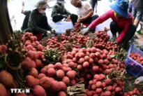 Bac Ninh boosts direct exports of key, advantageous products