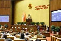 Legislature adopts important laws, resolutions