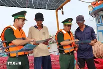 An Giang reviews fishing vessels to combat IUU fishing