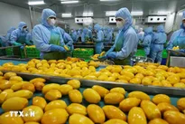 Fruit, vegetable exports post successive breakthroughs