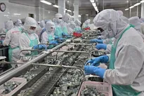 Vietnam’s exporters gear up for recovery as new markets open