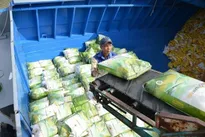 Vietnam to proactively reduce rice exports from 2026