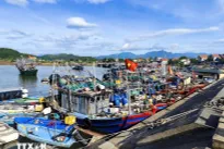 IUU fishing combat: Quang Ninh completes fishing licence issuance ahead of schedule