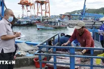 Da Nang adopts fisheries support policies to address EC’s IUU fishing “yellow card”