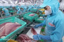 Agro-forestry-fishery exports: Proactive risk response needed to sustain growth