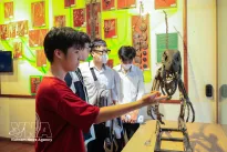 Natural history museums pulling in huge crowds