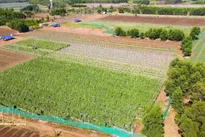 Data, digitalisation key to unlocking sustainable growth in Vietnam’s agriculture