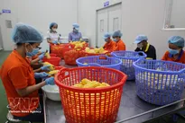Vietnam’s food sector urged to move up global value chains