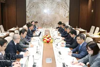 Vietnam values Japan as key strategic partner: Party official
