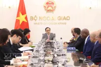 Foreign minister welcomes ambassadors of African nations
