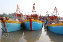 Dong Thap tightens control of fishing fleet to combat IUU fishing