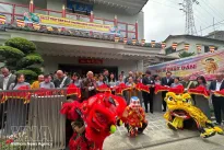 First Vietnamese pagoda in Tokyo inaugurated