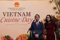 Vietnam Cuisine Day held in South Africa
