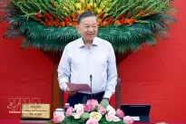 Foreign affairs should better serve national development: Top leader
