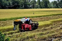 Deputy PM calls for a shift from output-driven to quality-based growth