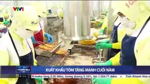 Thời sự 19h VTV1 - 28/10/2024