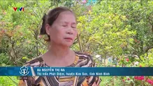 Điểm tựa an sinh - 24/11/2024