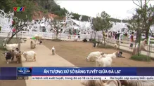 Thời sự 16h VTV1 - 04/12/2024