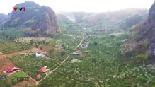 Việt Nam đa sắc: Số 611
