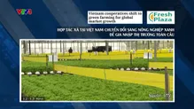 Bản tin tiếng Việt 12h VTV4 - 25/3/2025