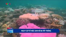 Thời sự 9h VTV1 - 24/4/2025