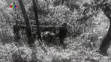 Nhật ký người Việt - 01/5/2025