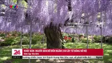 Chuyển động 24h tối - 02/5/2025