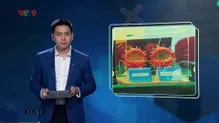 Alo Doctor - 10/5/2025