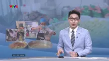 Bản tin tiếng Việt 12h VTV4 - 10/5/2025