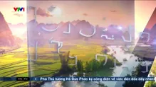 Buổi sáng thức giấc - 11/5/2025