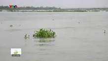 Cặp lá yêu thương - 10/5/2025