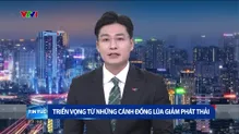 Thời sự 23h VTV1 - 07/6/2025