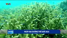 Thời sự 9h VTV1 - 08/6/205