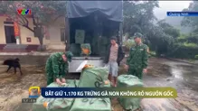 Bắt giữ 1.170 kg trứng gà non không rõ nguồn gốc
