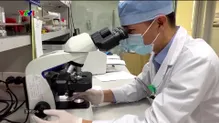 Tiếp nhận 4 ca sốt rét trong 2 tuần
