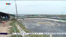 Không để chậm tiến độ dự án trọng điểm khi sáp nhập