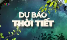 Bản tin thời tiết 19h45 - 21/3/2025