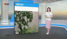 Bản tin thời tiết 12h30 - 29/4/2025