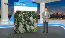 Bản tin thời tiết 19h45 - 14/5/2025