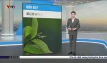 Bản tin thời tiết 12h30 - 15/5/2025