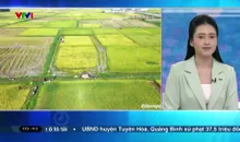 Bản tin thời tiết 5h30 - 18/5/2025