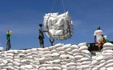 Việt Nam xuất khẩu được trên 8 triệu tấn gạo