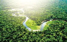 Microsoft đạt thỏa thuận kỷ lục mua 2,85 triệu tín chỉ carbon