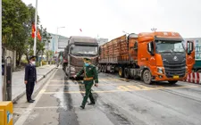 Gần 8.900 vụ vi phạm, buôn lậu gia tăng qua mạng