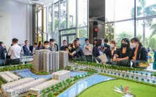 Lượng doanh nghiệp bất động sản mới giảm mạnh đầu năm 2025